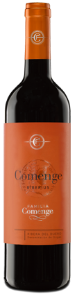 Ribera del Duero Joven – Biberius – magnum