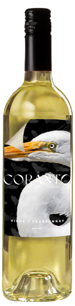 Vina Coranto blanco – Chardonnay & Macabeo