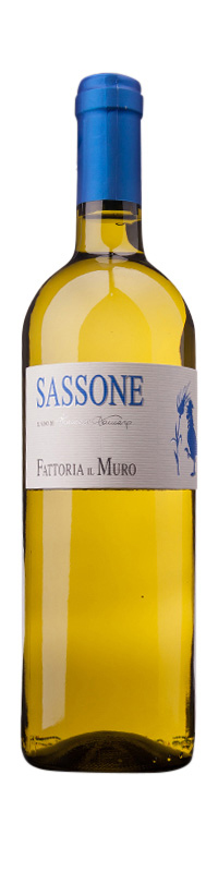 Sassone – bianco di Toscana
