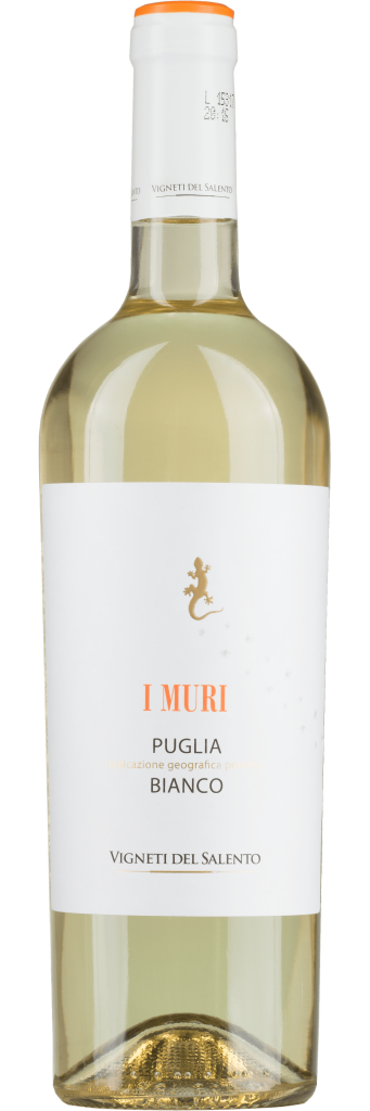 I Muri Bianco 2025